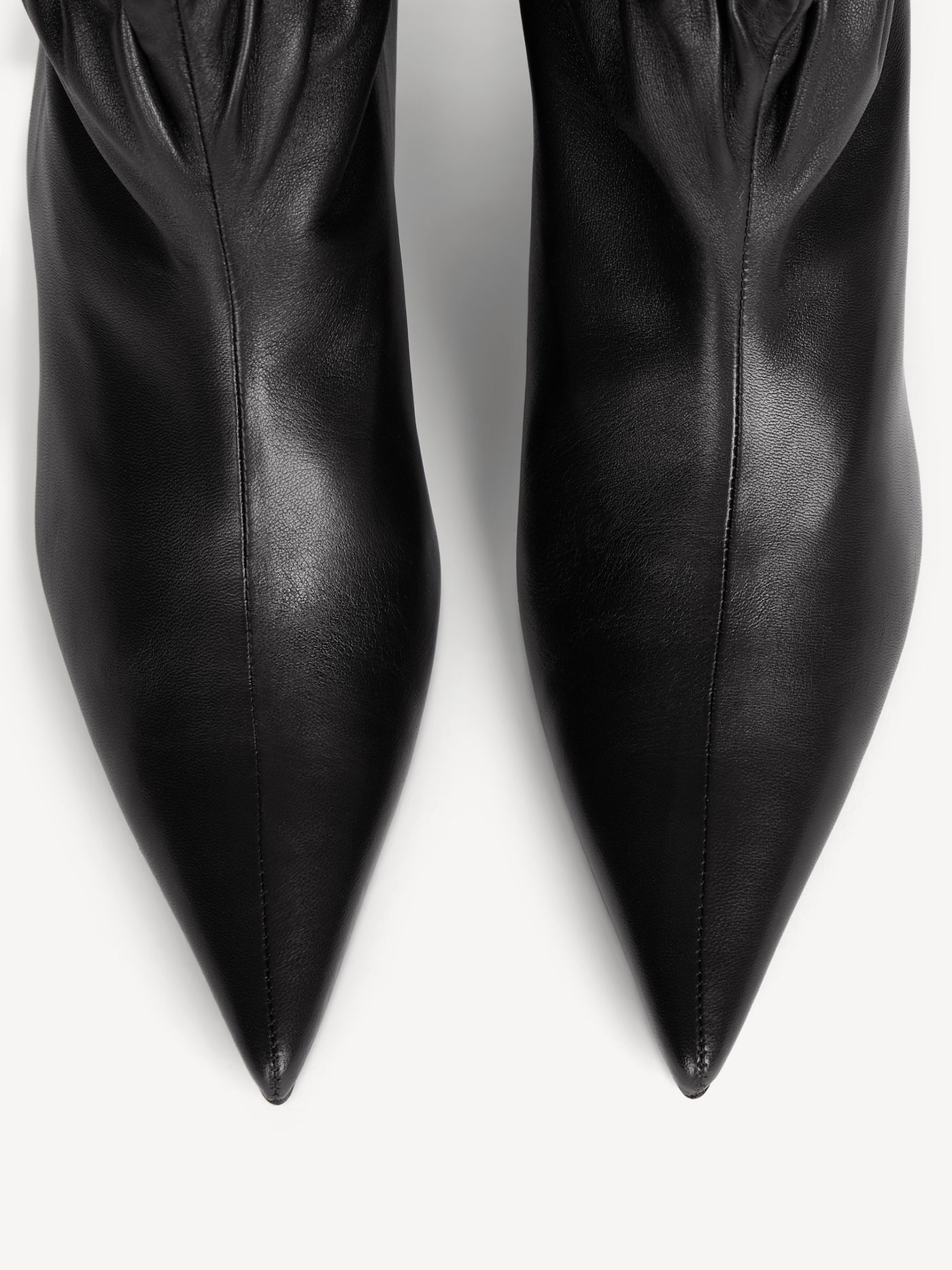 Sphynx smooth leather ankle boots